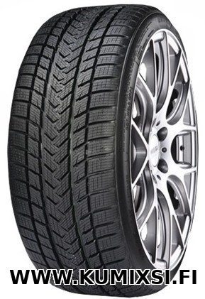 Gripmax Pro Winter 205/55R17 95V