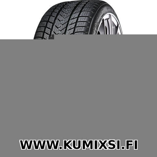 Gripmax Suregrip Pro Winter 265/40R21 105V