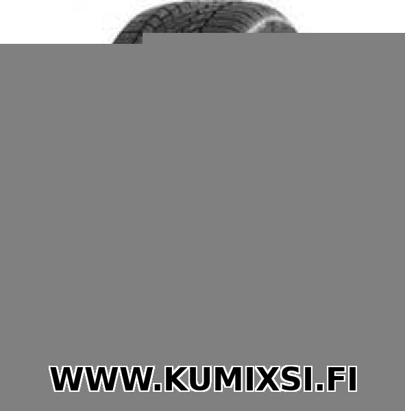 Sonix Winter Xpro 888 235/55R17 103H